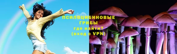 шишки Лихославль