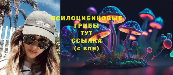 шишки Лихославль