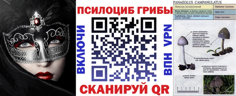 Купить  Ермолино  Псилоцибиновые грибы GOLDEN TEACHER 